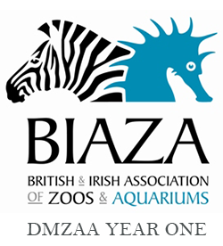 BIAZA Year 1 DMZAA