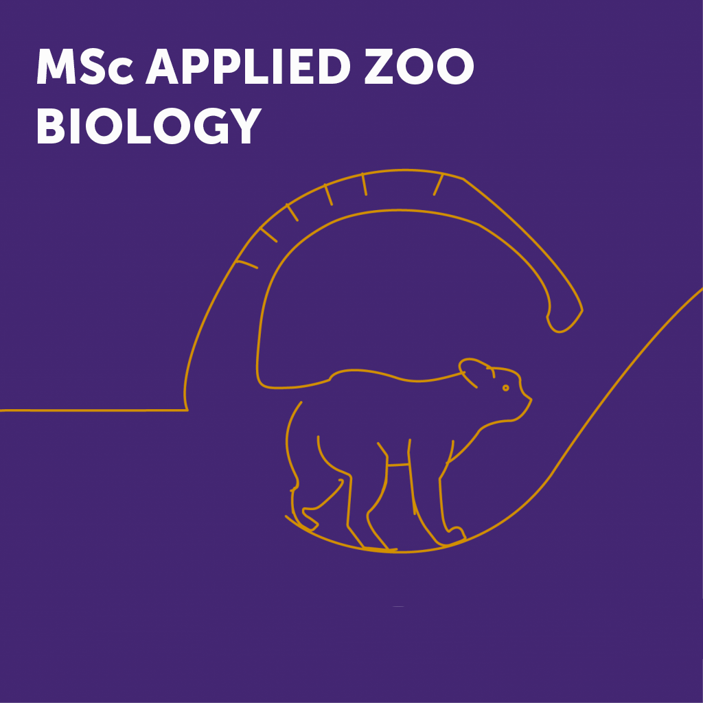 MSc Applied Zoo Biology