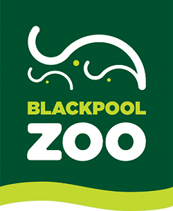 Blackpool zoo